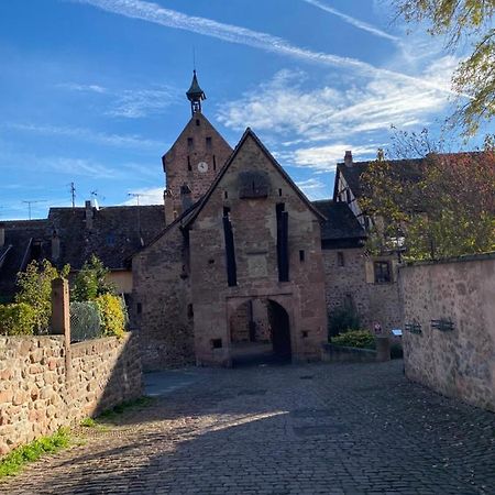 Riquewihr Centre Historiqueアパートメント エクステリア 写真